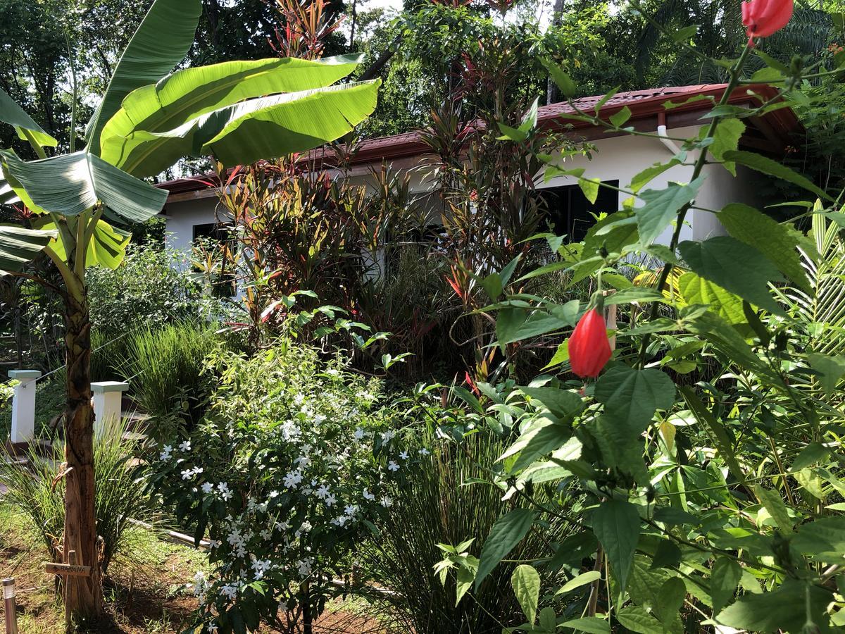 Casa Del Toucan Dominical Exterior foto